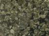 balticgreen_small.jpg