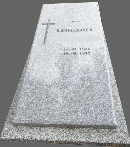 photo15.jpg